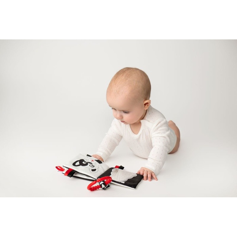 HENCZ 917 Książeczka Kto to? Co to?