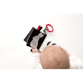 HENCZ 917 Książeczka Kto to? Co to?