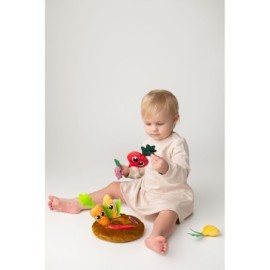 HENCZ 919 Ogródek warzywny