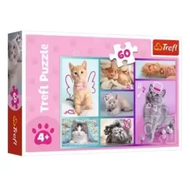 TREFL 17373 Puzzle 60 Słodkie kociaki