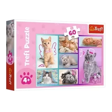TREFL 17373 Puzzle 60 Słodkie kociaki