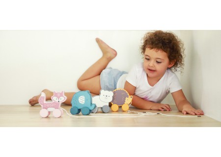 Viga 44003 PolarB Jeż Januszek do ciagnięcia