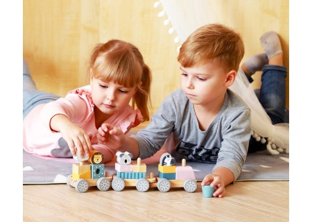 Viga 44015 PolarB Pociąg