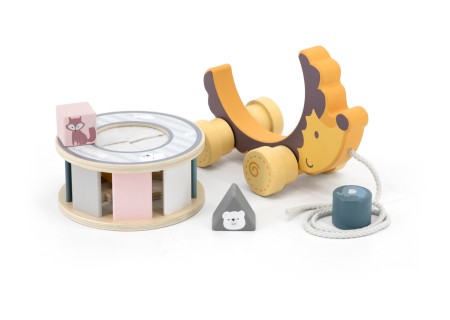 Viga 44025 PolarB Jeż Jerzy 2w1 sorter do ciagnięcia