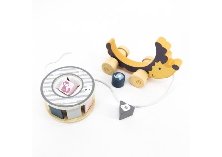 Viga 44025 PolarB Jeż Jerzy 2w1 sorter do ciagnięcia