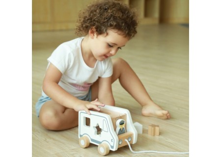 Viga 51612 Szaro biały sorter edukacyjny- auto