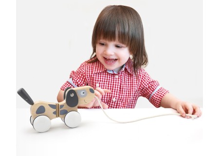 Viga 51614 Szaro biały piesek do ciągnięcia