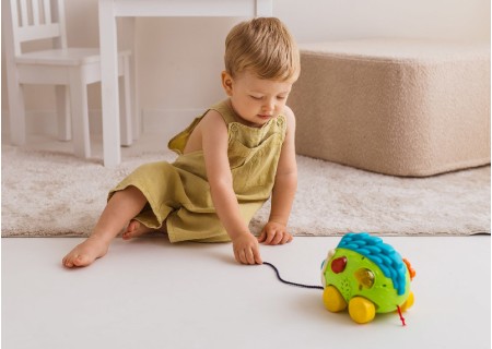 DUMEL DD 54902 Odjazdowy Jeżyk