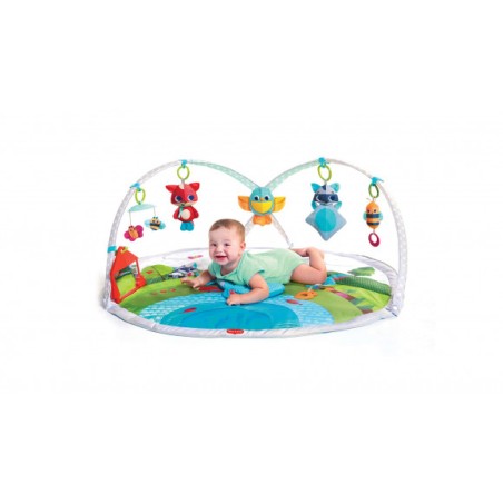 TINY LOVE TL1205006830R Mata Gimnastyka dla Bobasa z pałąkami - Zabawa na łące