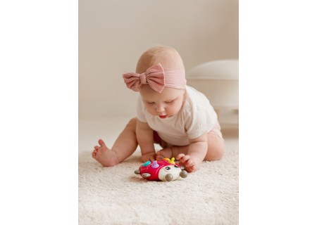 DUMEL DD 30833 Melodyjna biedronka